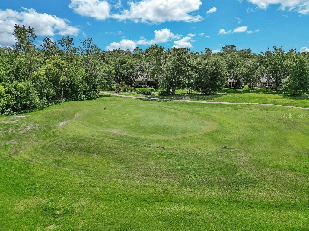 5210 Camberlea Avenue Zephyrhills FL 33541 OM704770 image53