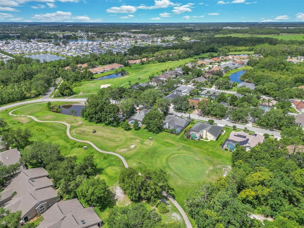 5210 Camberlea Avenue Zephyrhills FL 33541 OM704770 image54