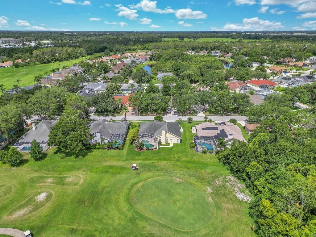 5210 Camberlea Avenue Zephyrhills FL 33541 OM704770 image55