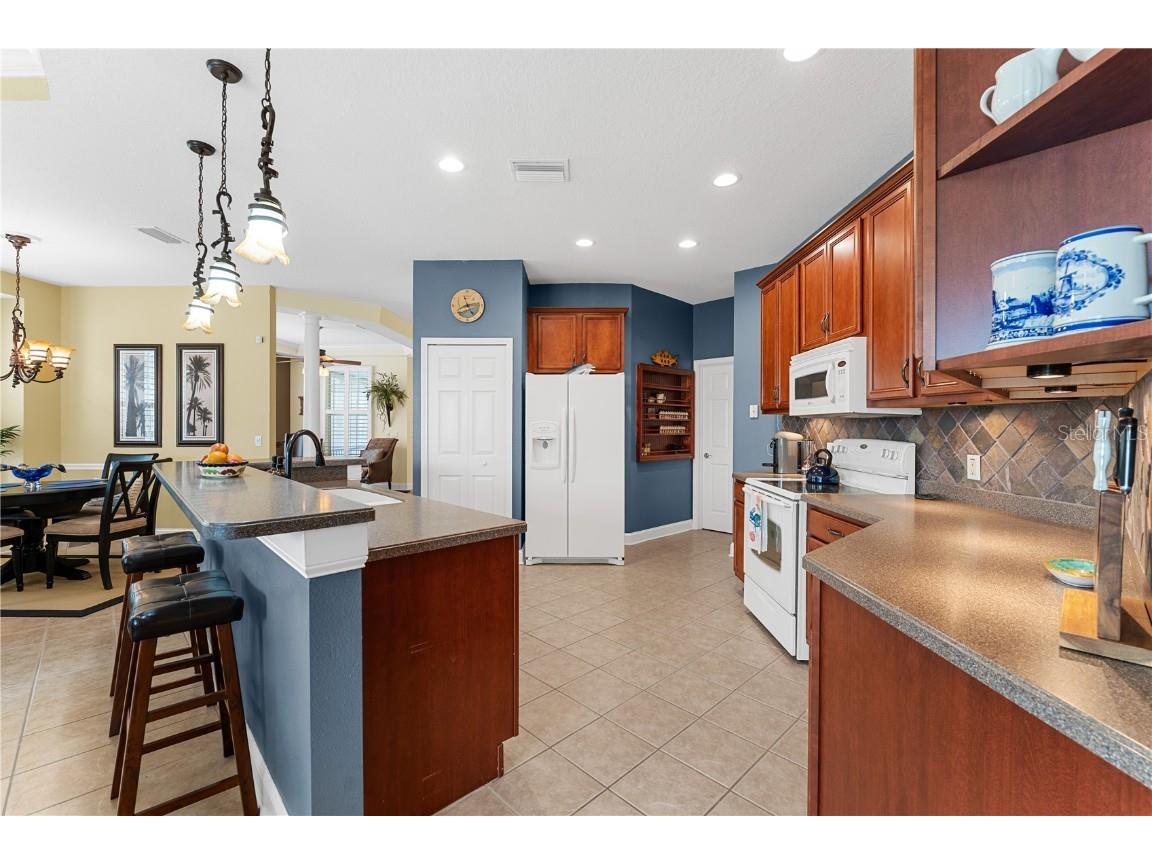 5210 Golden Isles Drive Apollo Beach FL 33572 TB8429133 image25