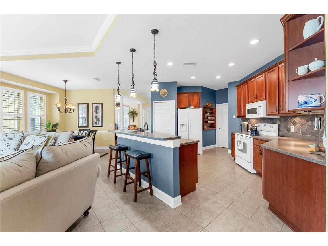 5210 Golden Isles Drive Apollo Beach FL 33572 TB8429133 image26