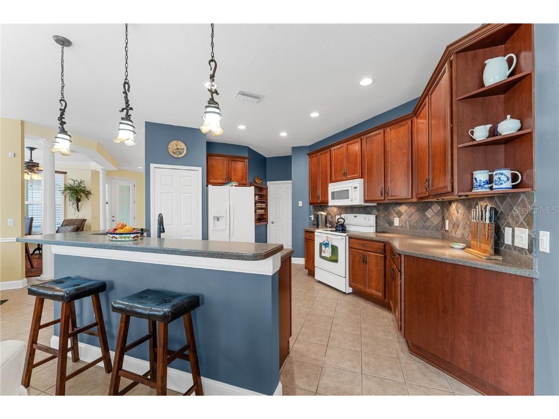 5210 Golden Isles Drive Apollo Beach FL 33572 TB8429133 image27