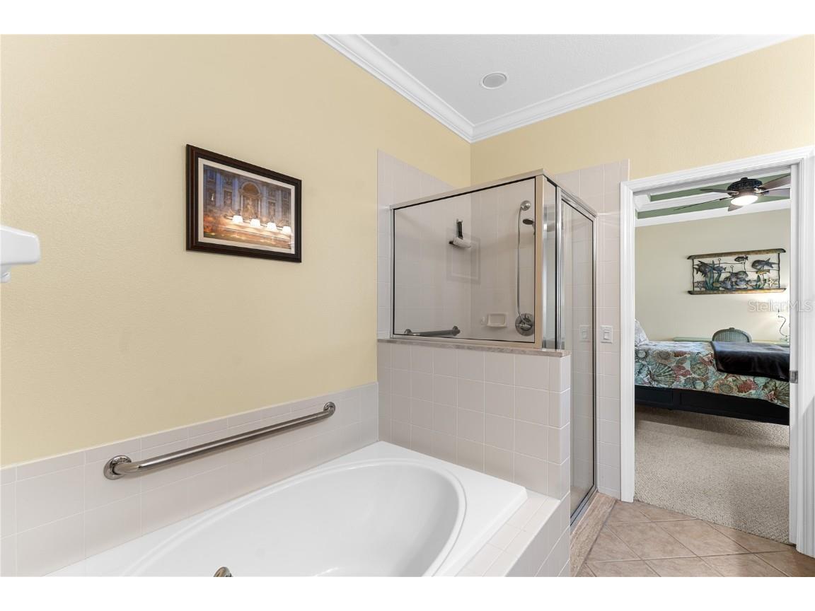 5210 Golden Isles Drive Apollo Beach FL 33572 TB8429133 image47