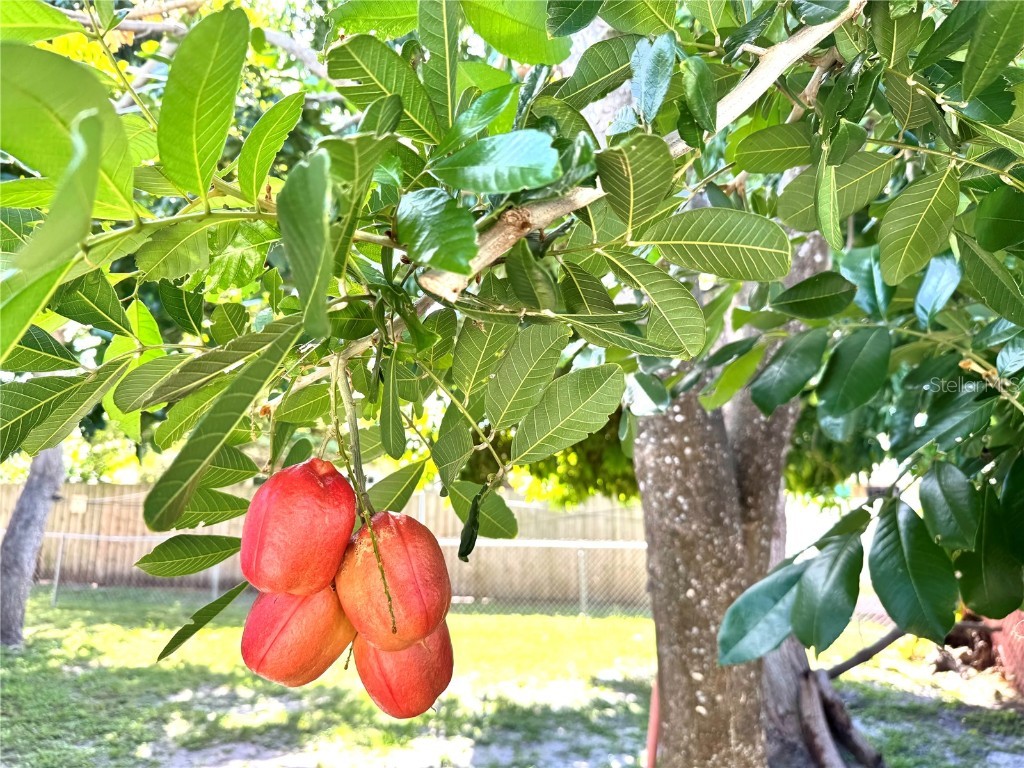 5210 Jersey Avenue S Gulfport FL 33707 TB8443003 image19