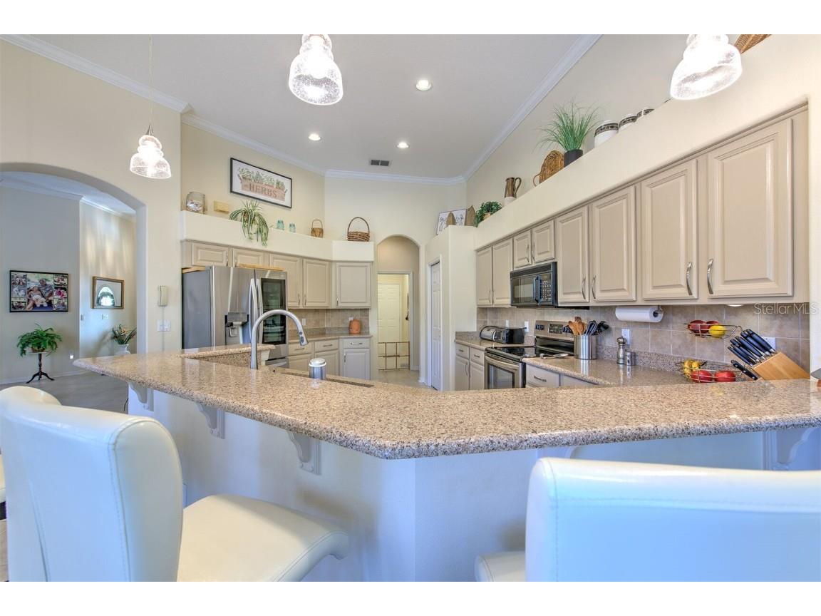 5210 Twin Creeks Drive Valrico FL 33596 T3547126 image16