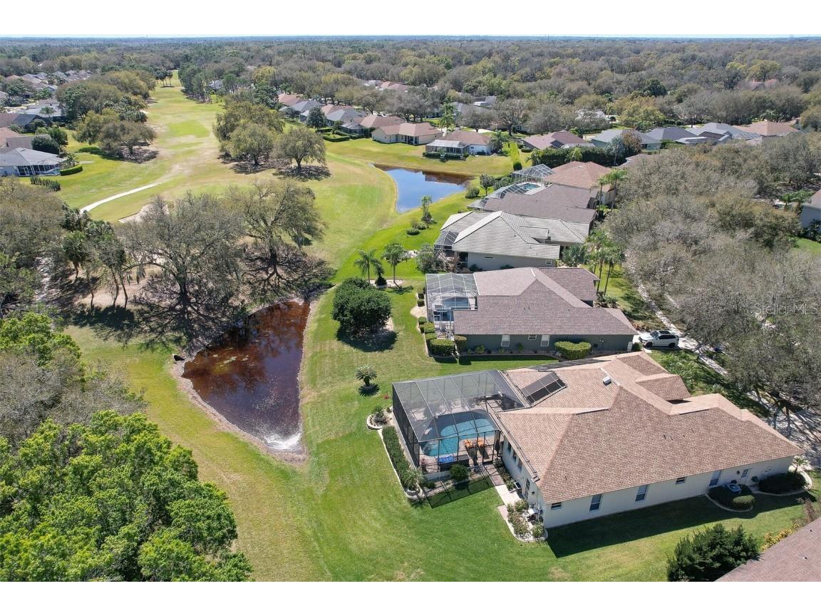 5210 Twin Creeks Drive Valrico FL 33596 T3547126 image46