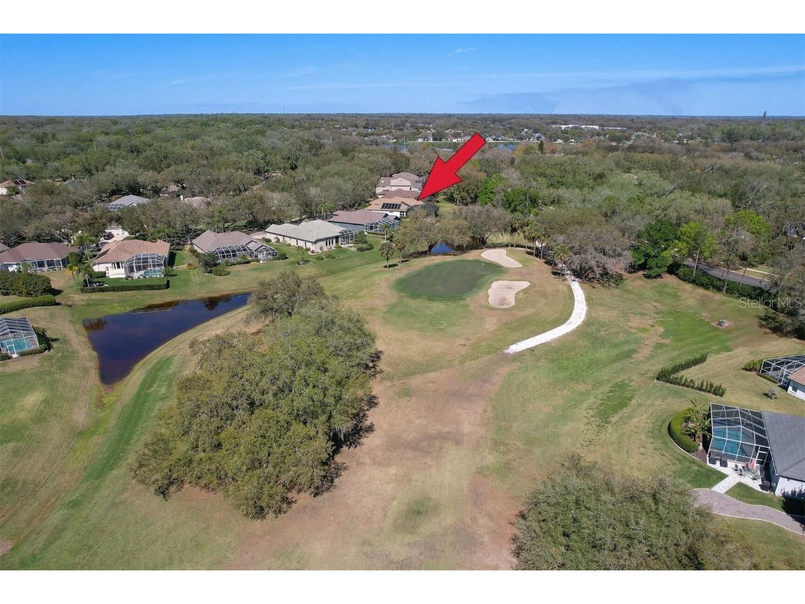 5210 Twin Creeks Drive Valrico FL 33596 T3547126 image47
