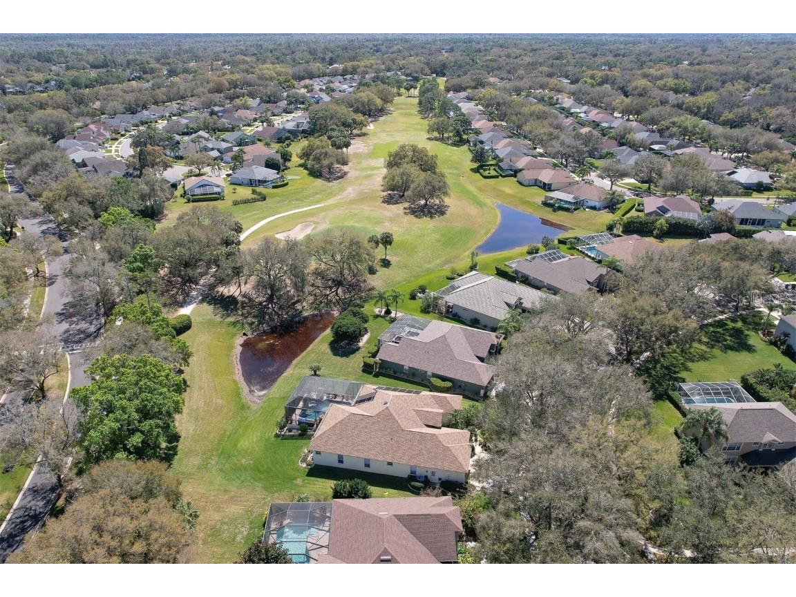 5210 Twin Creeks Drive Valrico FL 33596 T3547126 image48