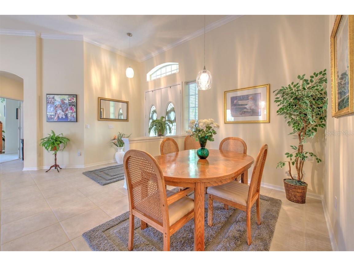 5210 Twin Creeks Drive Valrico FL 33596 T3547126 image9