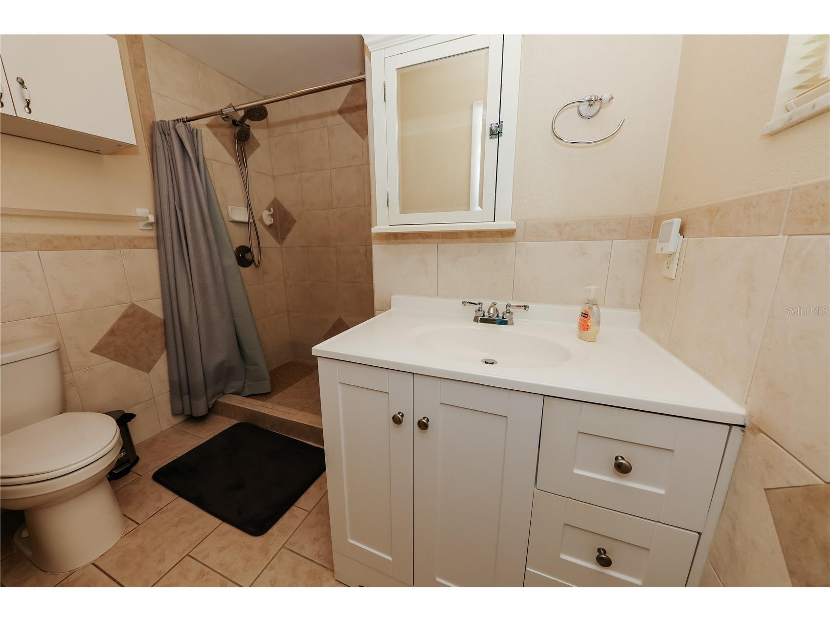 5211 24th Avenue Drive W Bradenton FL 34209 TB8493637 image25