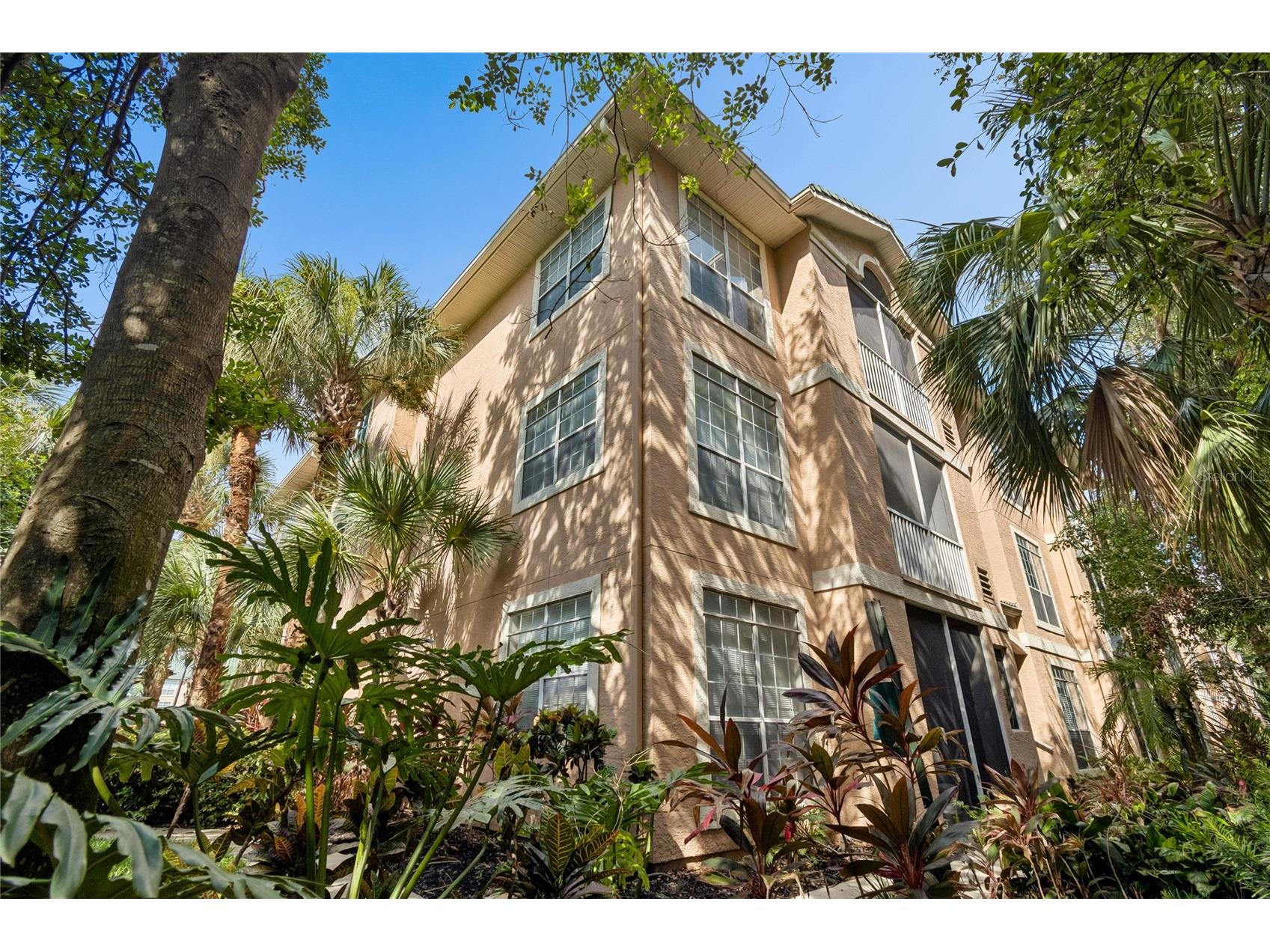 5211 Bay Club Circle Tampa FL 33607 TB8532063 image18