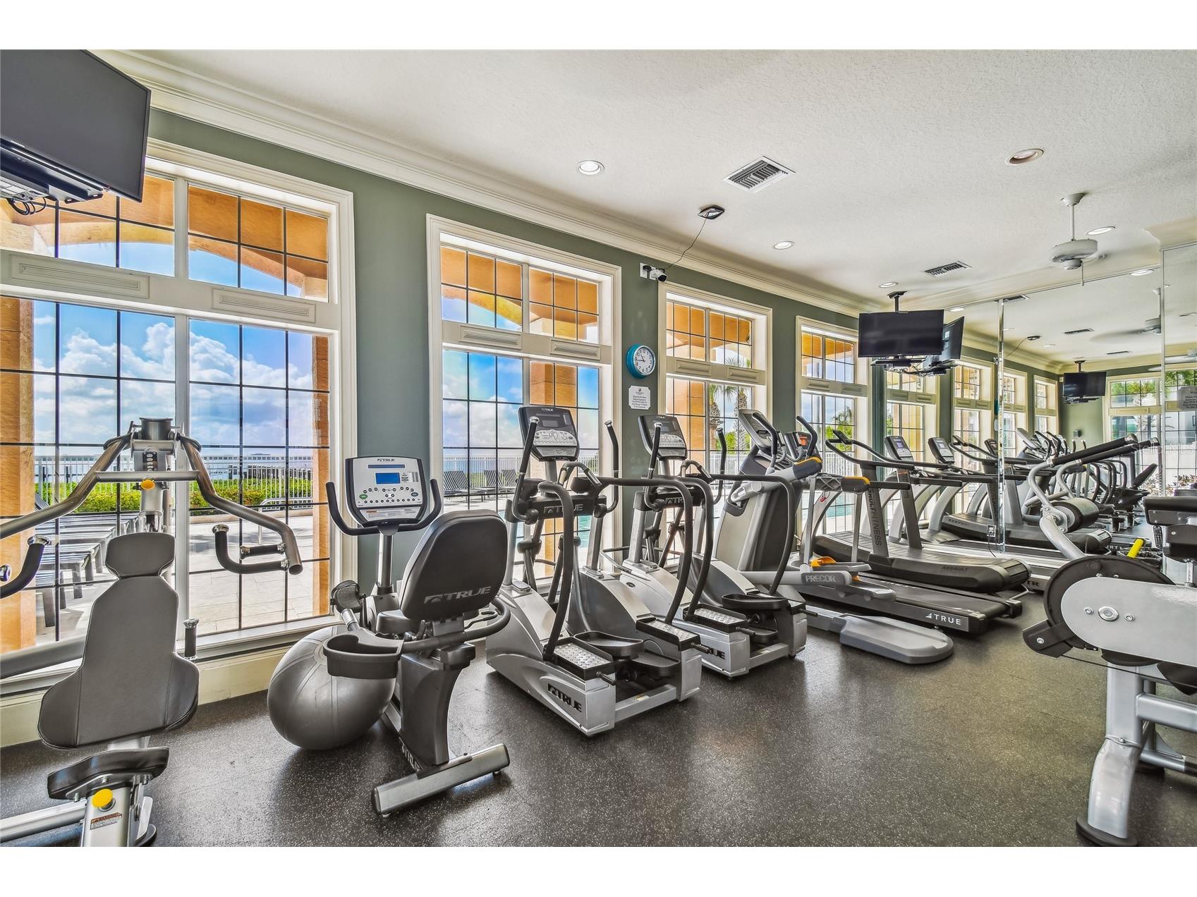 5211 Bay Club Circle Tampa FL 33607 TB8532063 image30