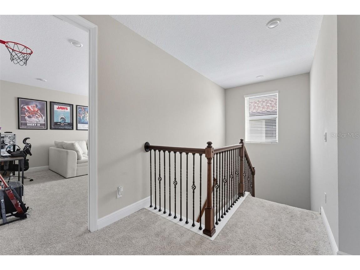 5211 Citrus Leaf Boulevard Winter Garden FL 34787 O6345198 image32