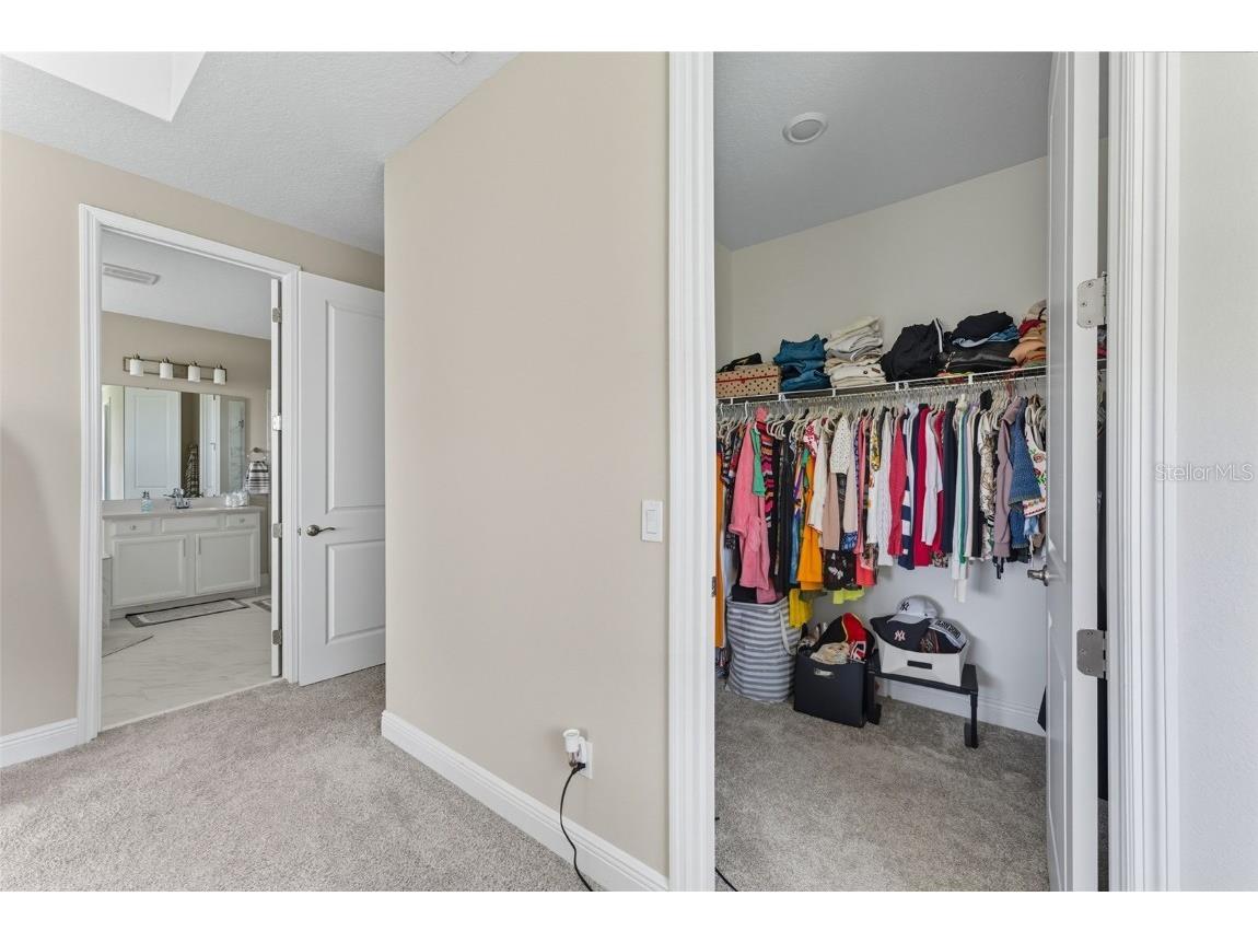 5211 Citrus Leaf Boulevard Winter Garden FL 34787 O6345198 image39