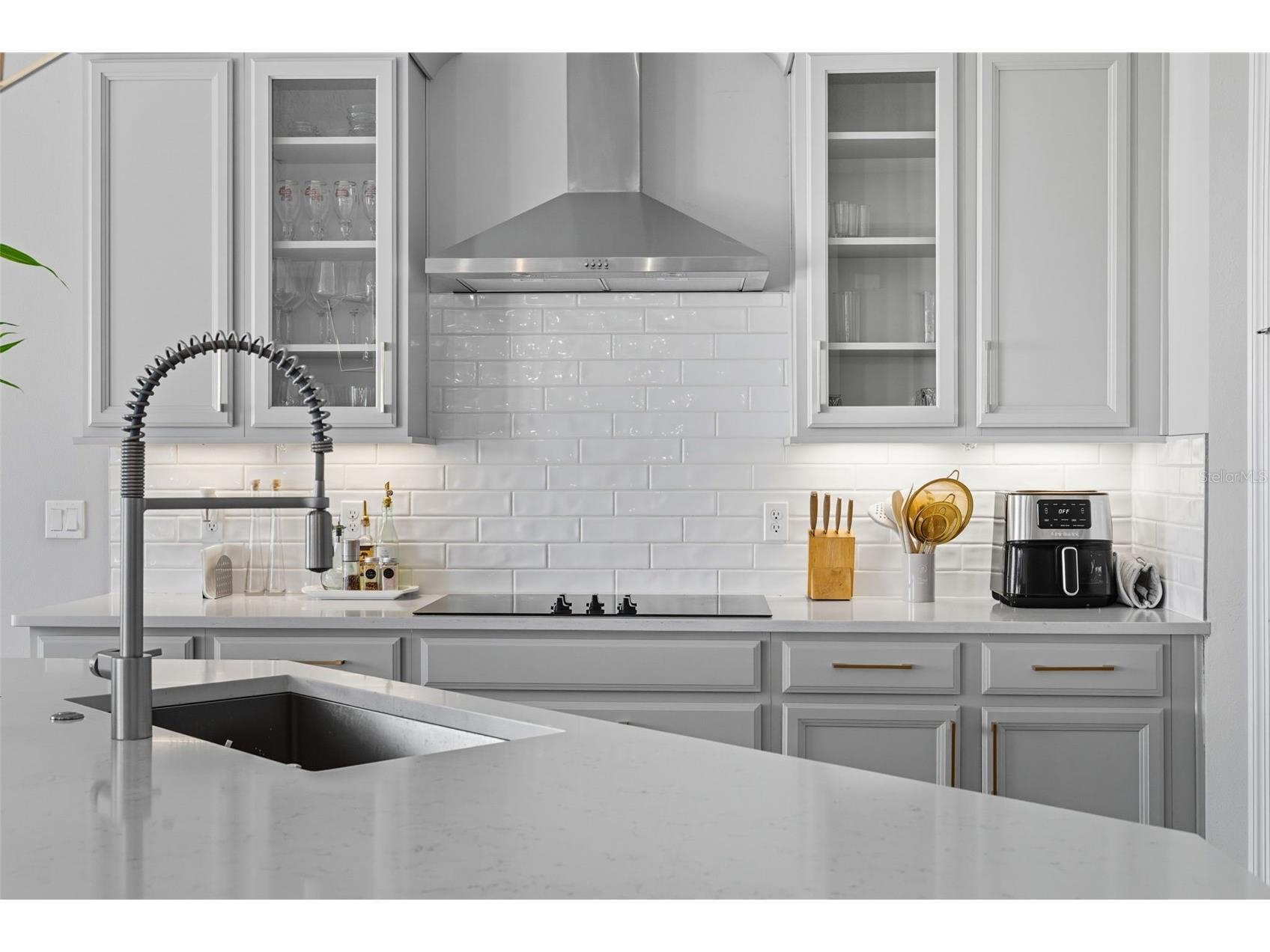 5211 Citrus Leaf Boulevard Winter Garden FL 34787 O6373067 image18