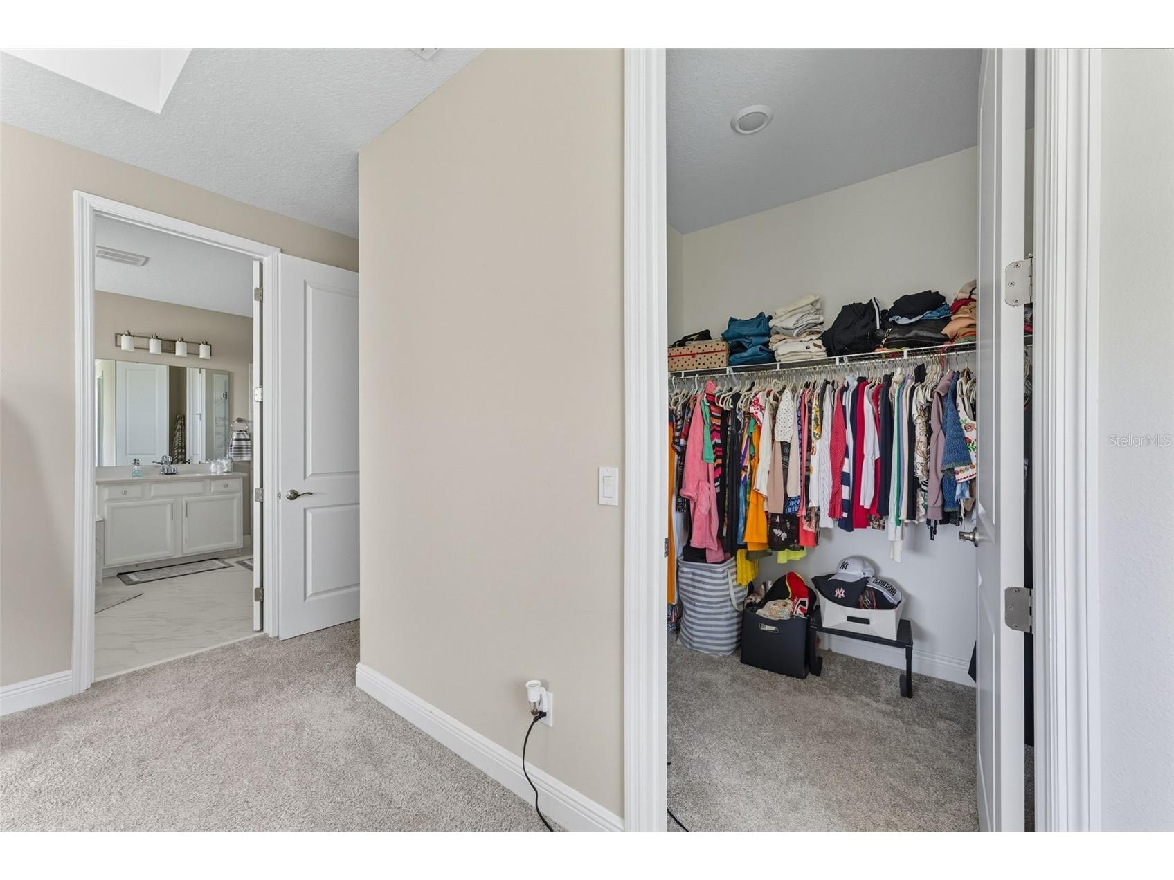5211 Citrus Leaf Boulevard Winter Garden FL 34787 O6373067 image34