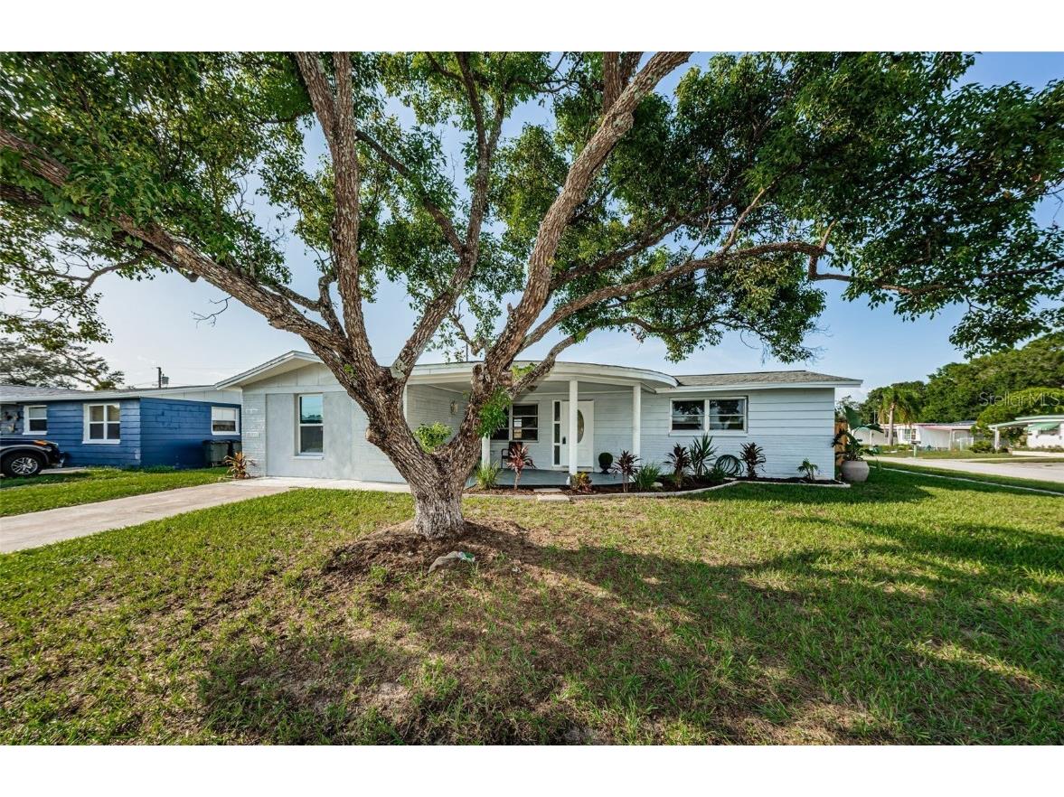 5211 Janice Lane Holiday FL 34690 U8210846 image1