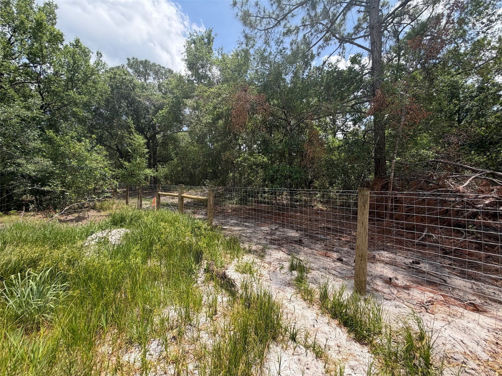 5211 Lake Haven Boulevard Sebring FL 33875 O6406252 image11