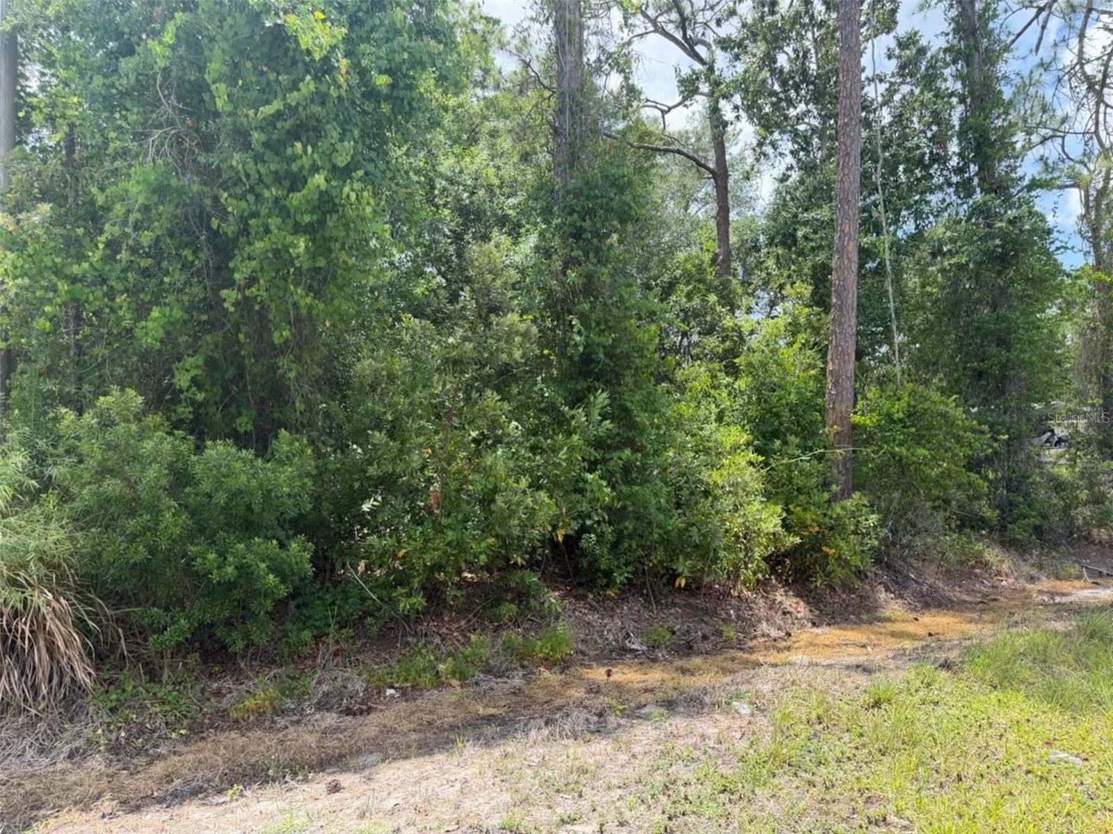 5211 Lake Haven Boulevard Sebring FL 33875 O6406252 image7