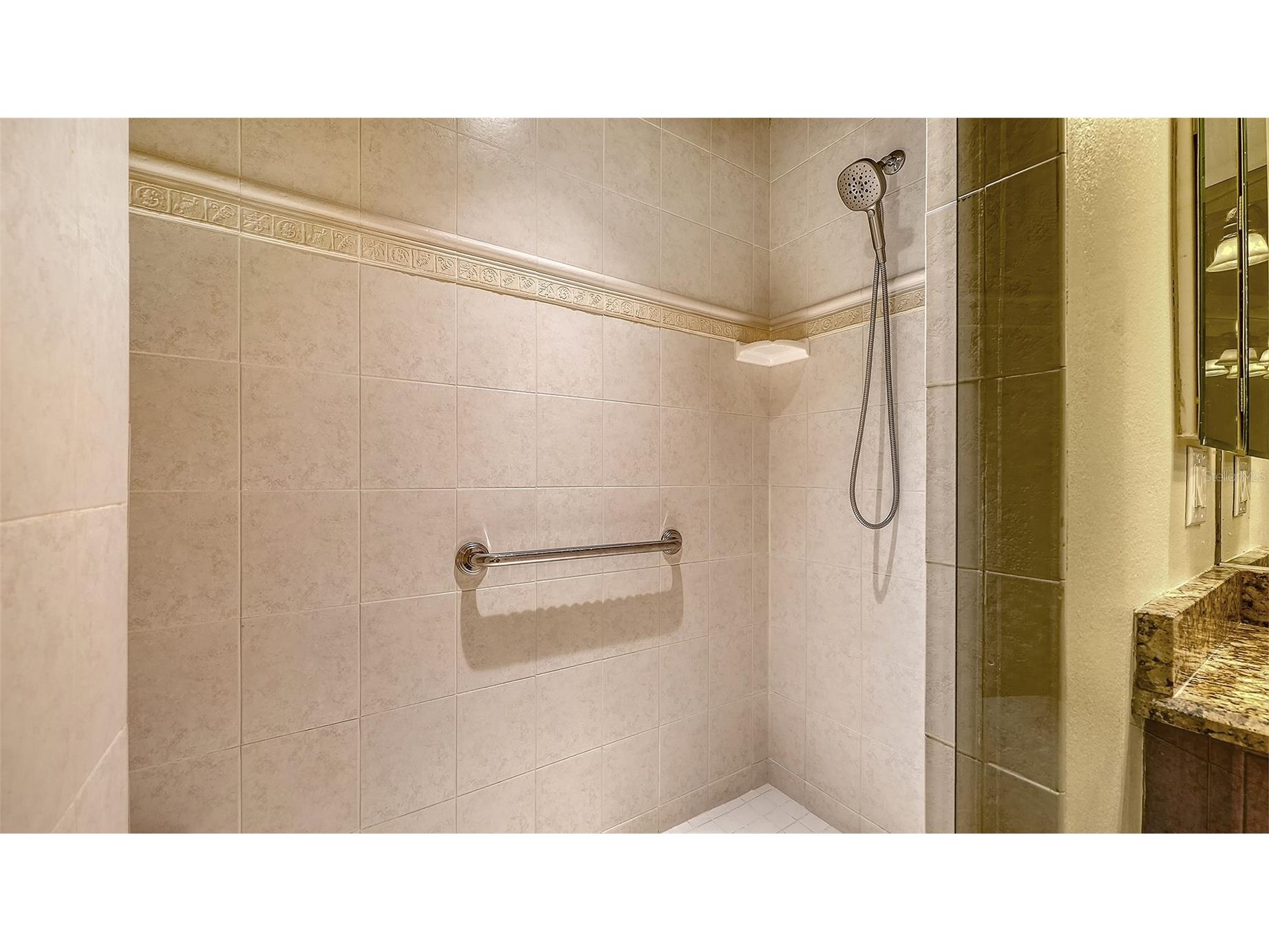 5211 Parisienne Place #101B27 Sarasota FL 34238 A4698331 image28