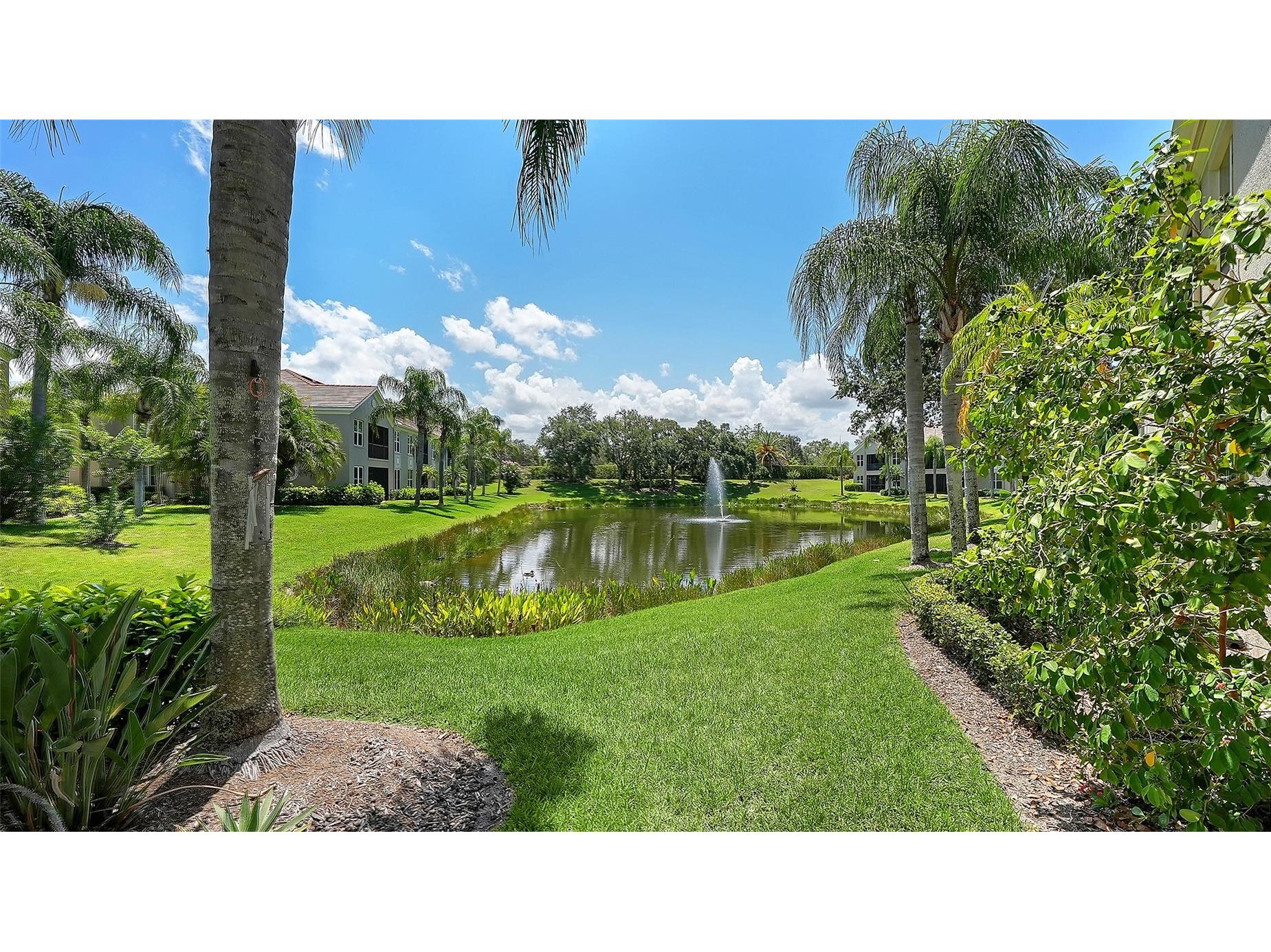 5211 Parisienne Place #101B27 Sarasota FL 34238 A4698331 image43