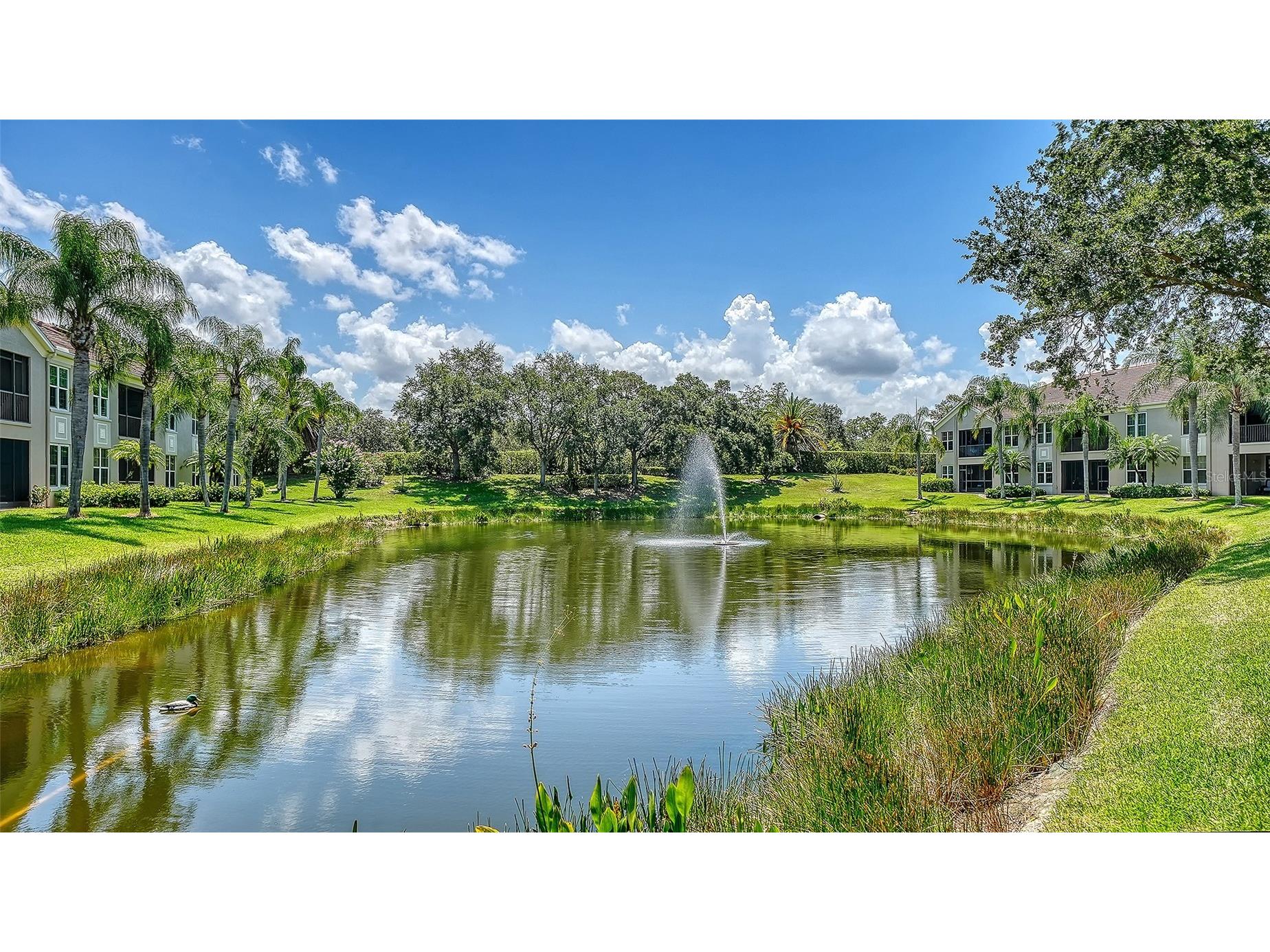 5211 Parisienne Place #101B27 Sarasota FL 34238 A4698331 image44
