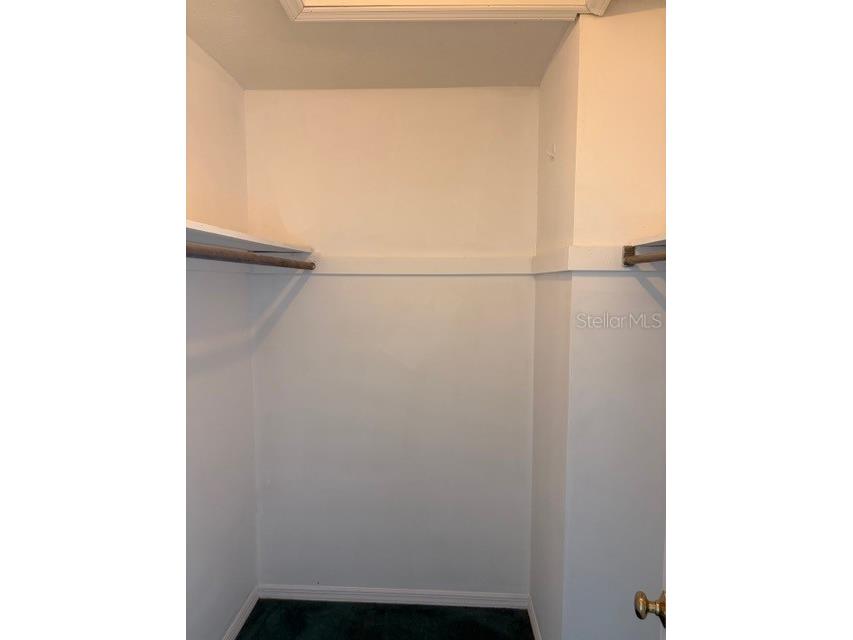 5211 Wilcox Road Tampa FL 33624 - LAKE LECLARE TB8450502 image14