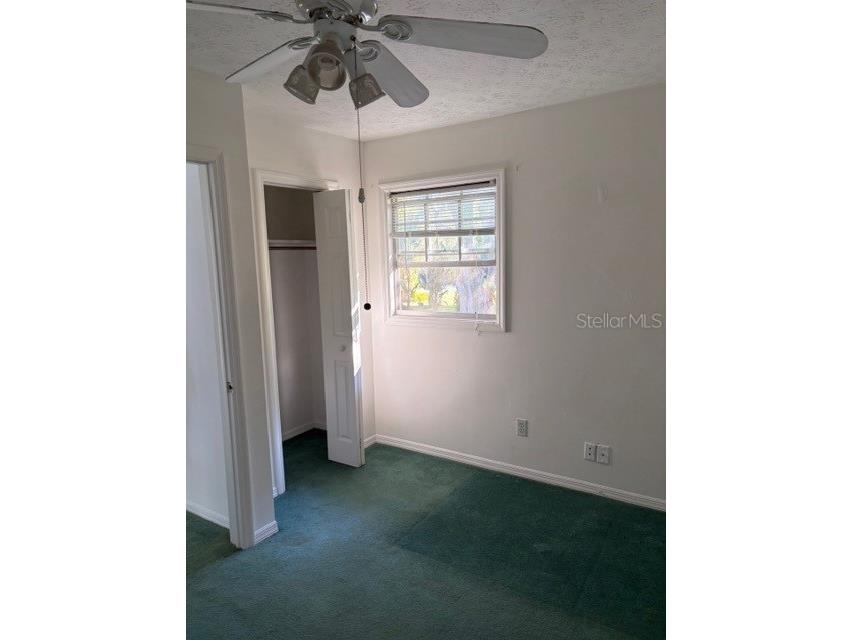 5211 Wilcox Road Tampa FL 33624 - LAKE LECLARE TB8450502 image16