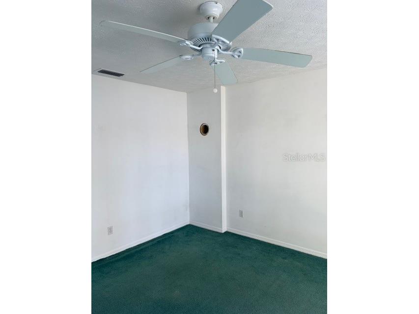 5211 Wilcox Road Tampa FL 33624 - LAKE LECLARE TB8450502 image18