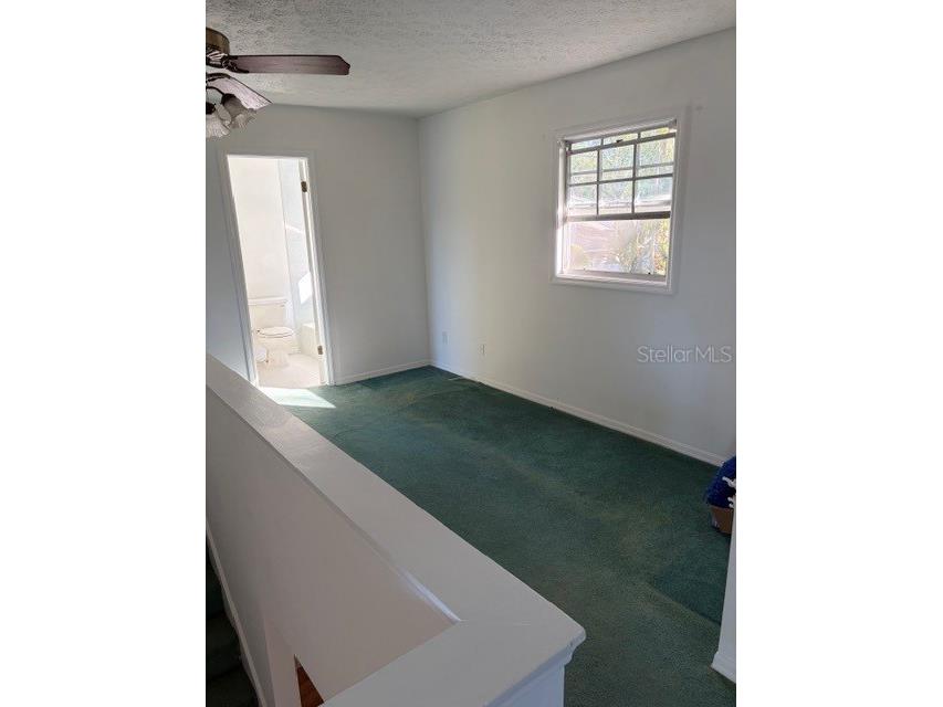 5211 Wilcox Road Tampa FL 33624 - LAKE LECLARE TB8450502 image19