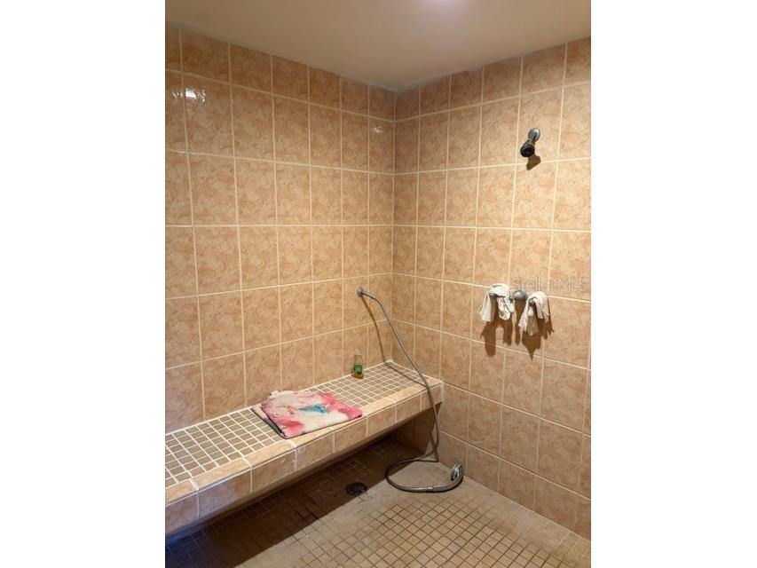 5211 Wilcox Road Tampa FL 33624 - LAKE LECLARE TB8450502 image23