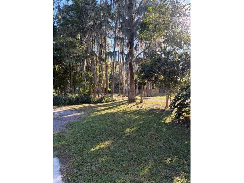 5211 Wilcox Road Tampa FL 33624 - LAKE LECLARE TB8450502 image26