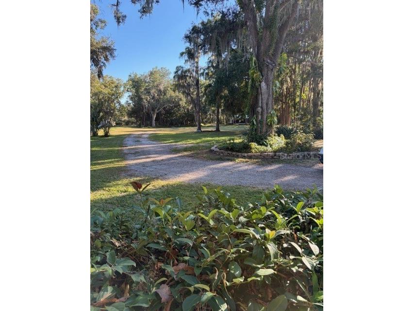 5211 Wilcox Road Tampa FL 33624 - LAKE LECLARE TB8450502 image27