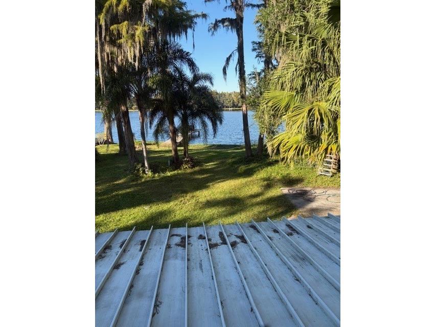 5211 Wilcox Road Tampa FL 33624 - LAKE LECLARE TB8450502 image28