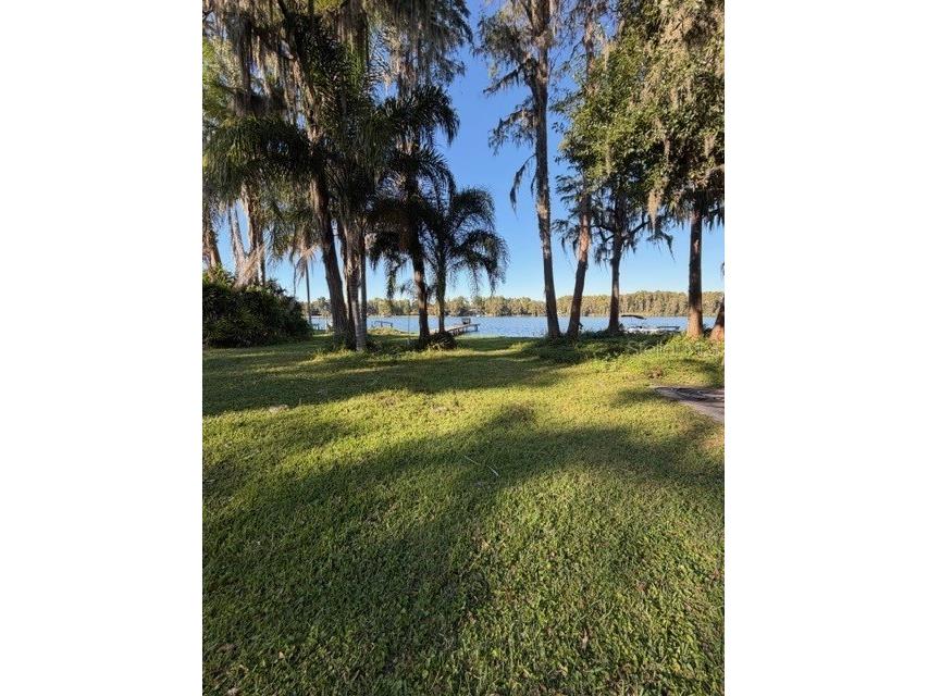5211 Wilcox Road Tampa FL 33624 - LAKE LECLARE TB8450502 image4