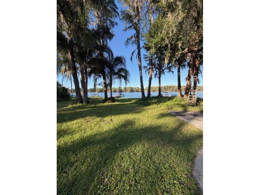 5211 Wilcox Road Tampa FL 33624 - LAKE LECLARE TB8450502 image5