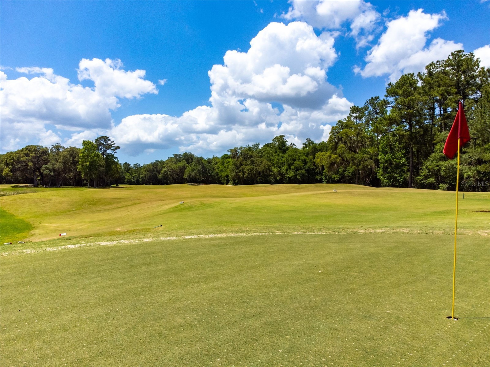 5212 Esplande Court Brooksville FL 34604 TB8518800 image70