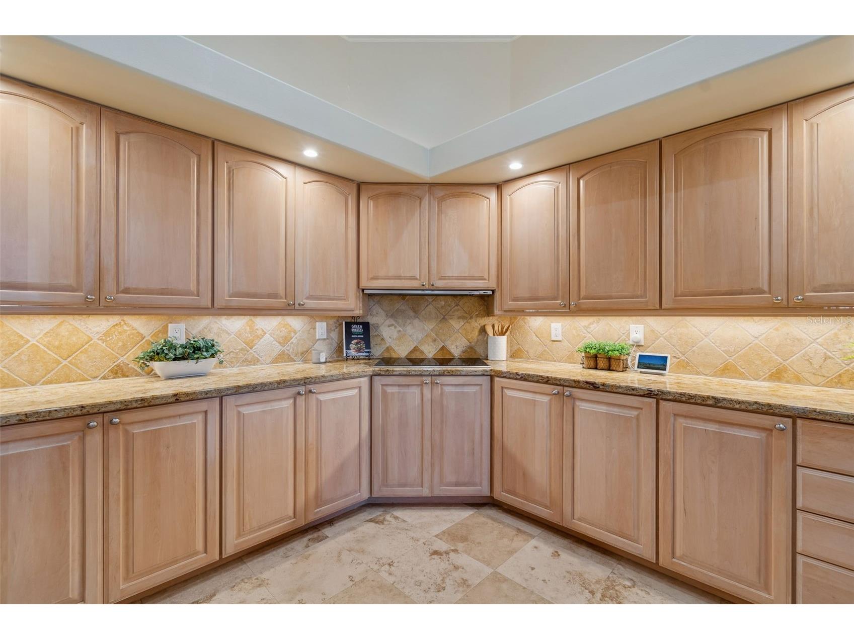 5212 Golf Links Boulevard Zephyrhills FL 33541 A4681585 image25