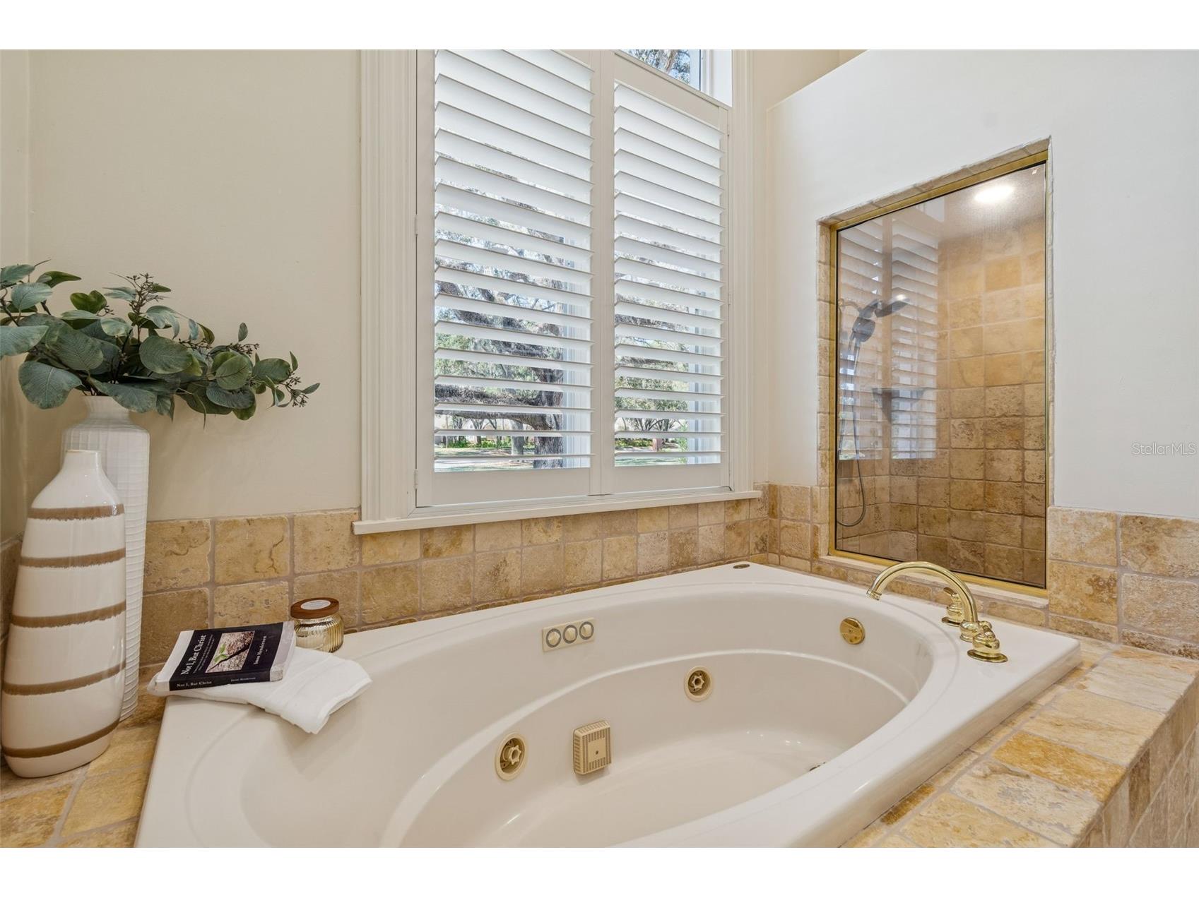 5212 Golf Links Boulevard Zephyrhills FL 33541 A4681585 image43