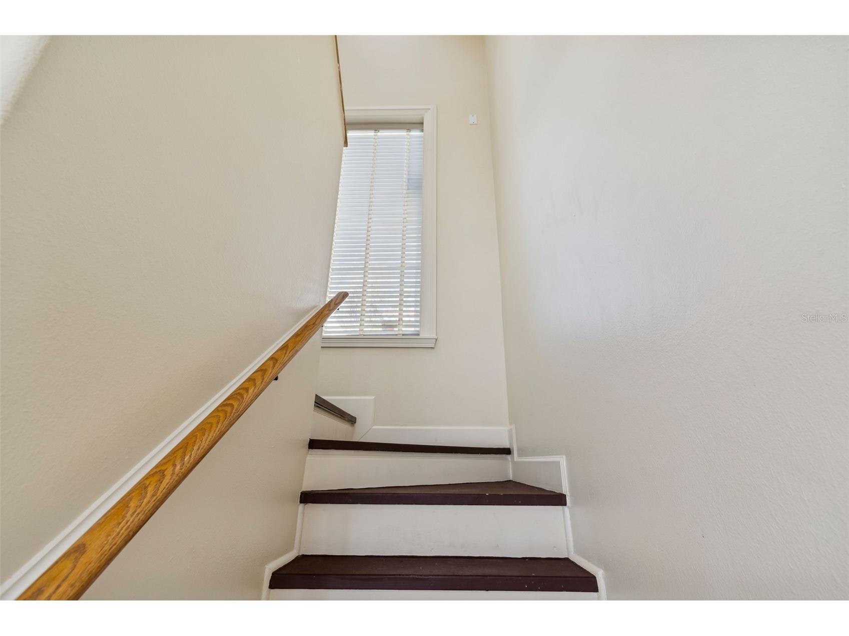 5212 Golf Links Boulevard Zephyrhills FL 33541 A4681585 image64