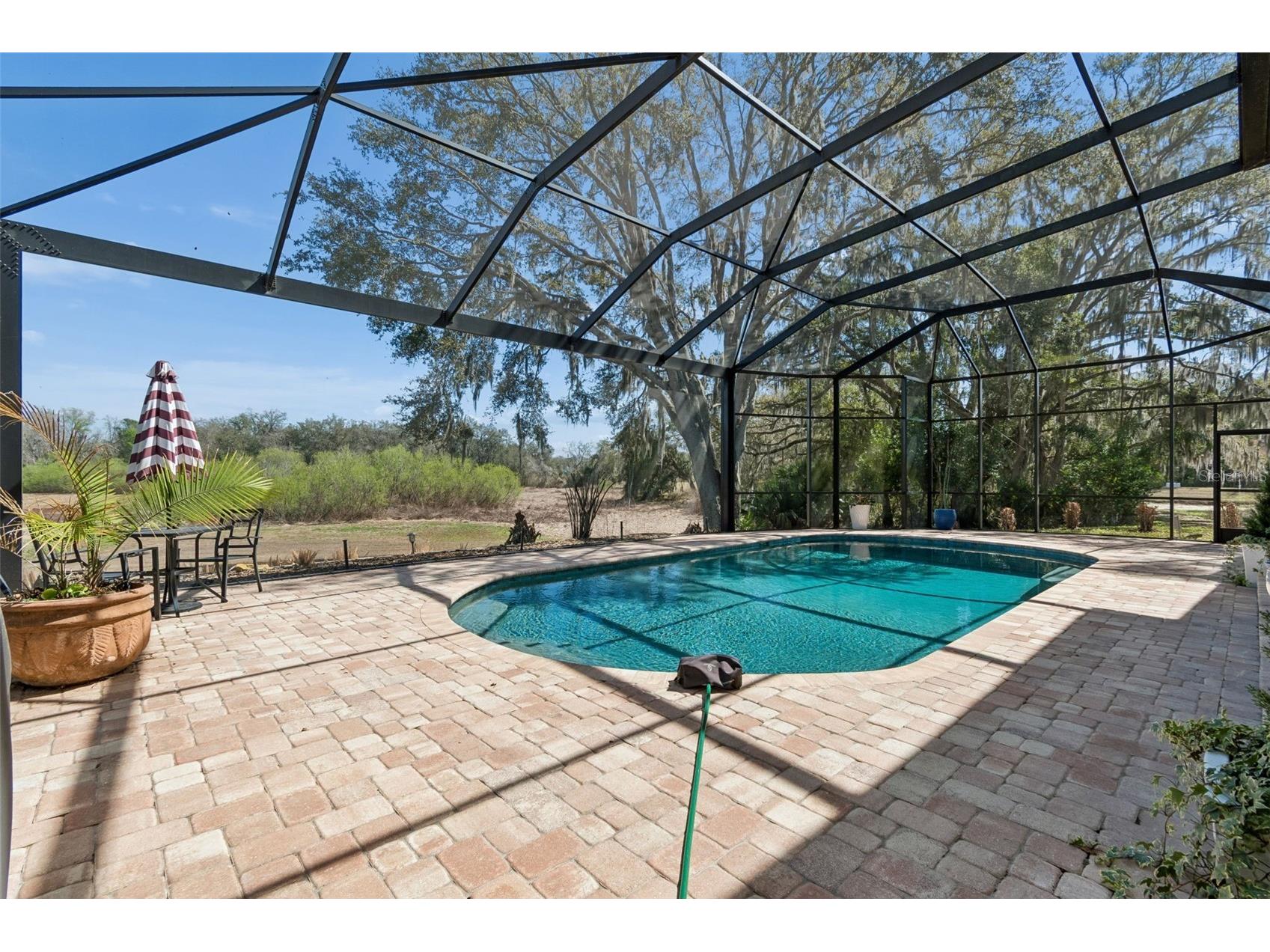 5212 Golf Links Boulevard Zephyrhills FL 33541 A4681585 image75