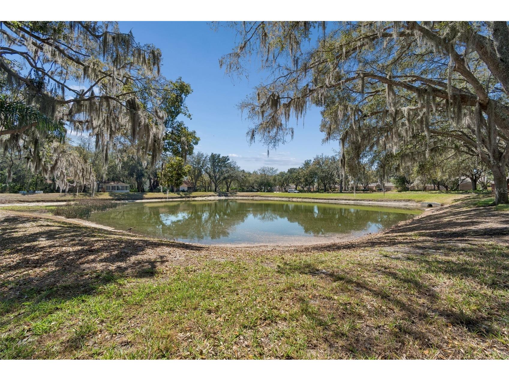 5212 Golf Links Boulevard Zephyrhills FL 33541 A4681585 image83