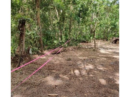 5212 NW 19th Street Gainesville FL 32653 GC529968 image3