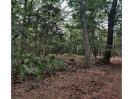 5212 NW 19th Street Gainesville FL 32653 GC529968 image4