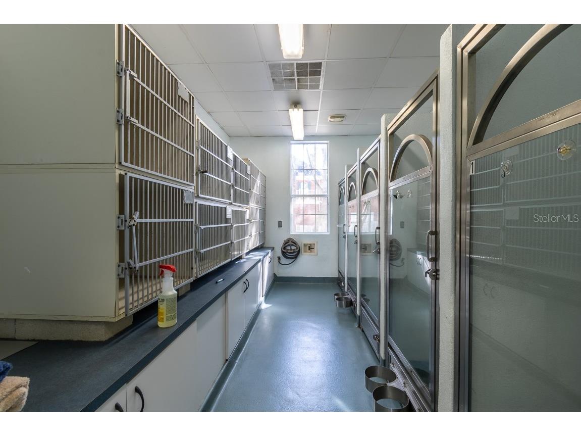 5213 & 5217 & 5231 SW 91st Drive Gainesville FL 32608 GC528597 image24