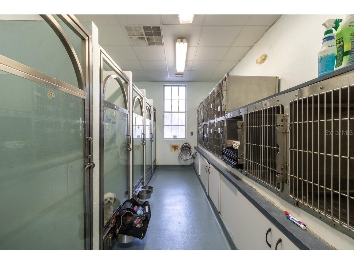 5213 & 5217 & 5231 SW 91st Drive Gainesville FL 32608 GC528597 image25