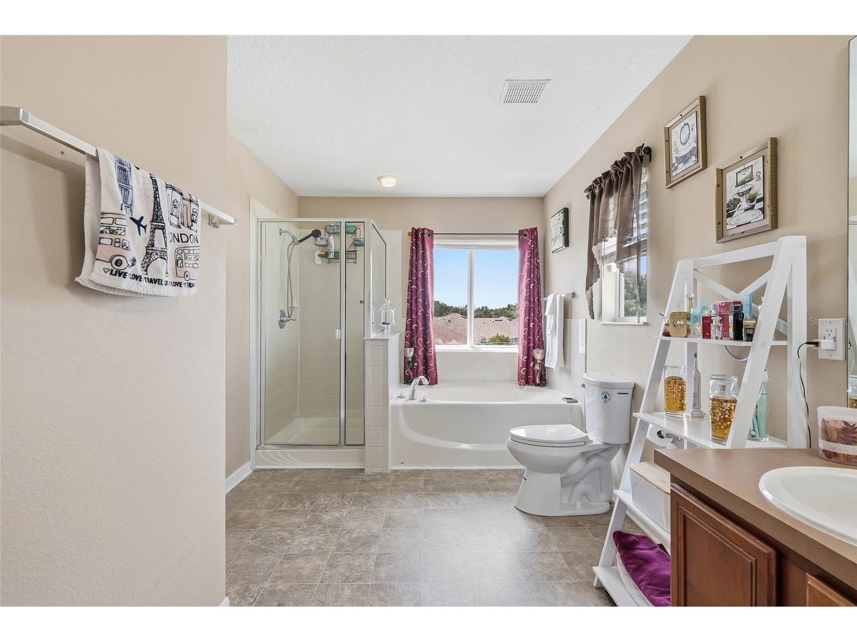 5213 Prairie View Way Wesley Chapel FL 33545 TB8526380 image23