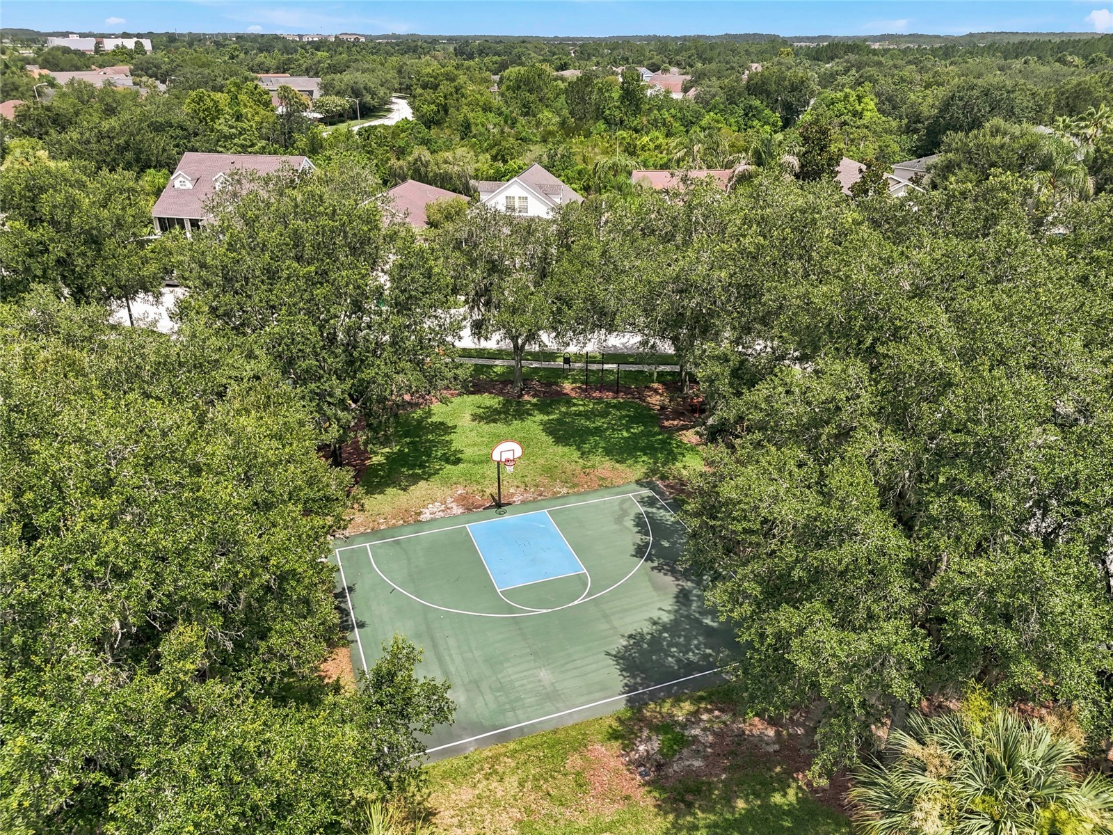 5213 Prairie View Way Wesley Chapel FL 33545 TB8526380 image38