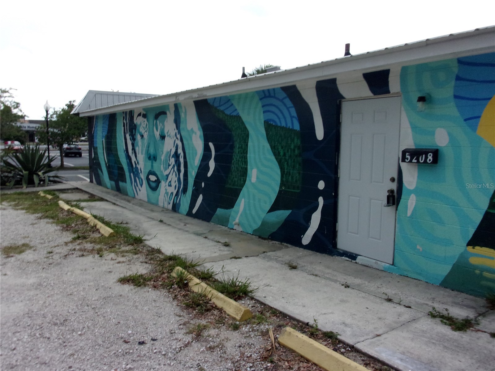 5214 7th Street Zephyrhills FL 33542 TB8518588 image4