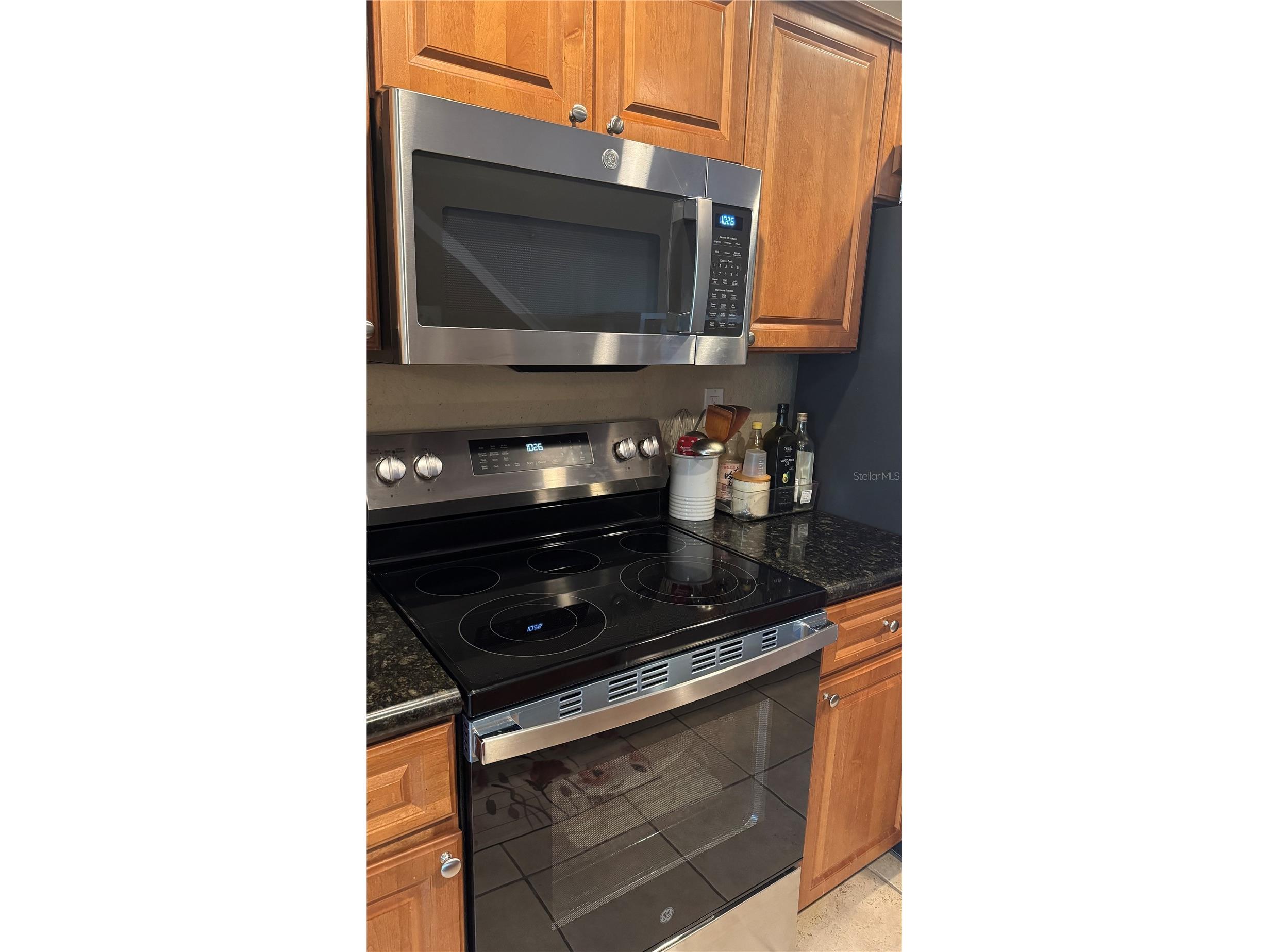 5214 Hampton Beach Place Tampa FL 33609 TB8421028 image13